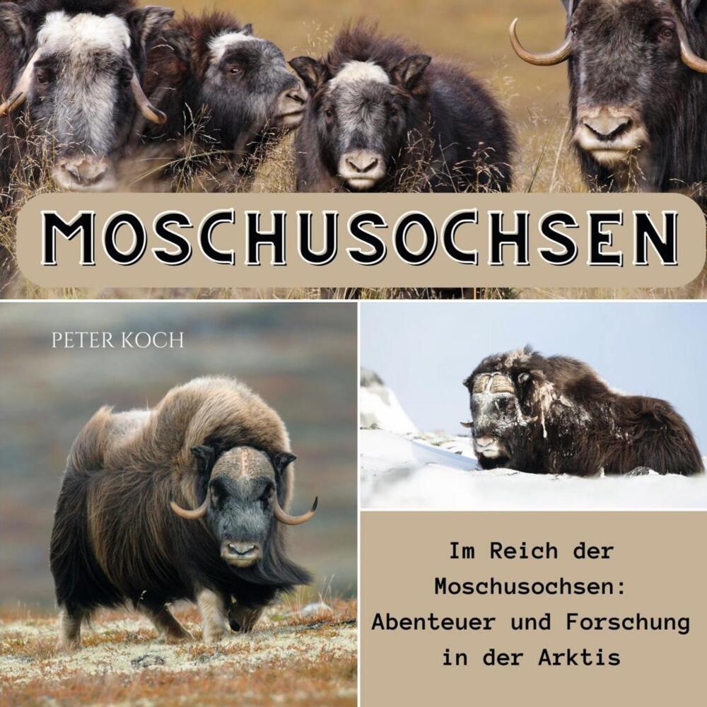 Cover: 9783750565333 | Moschusochsen | Peter Koch | Taschenbuch | 82 S. | Deutsch | 2024