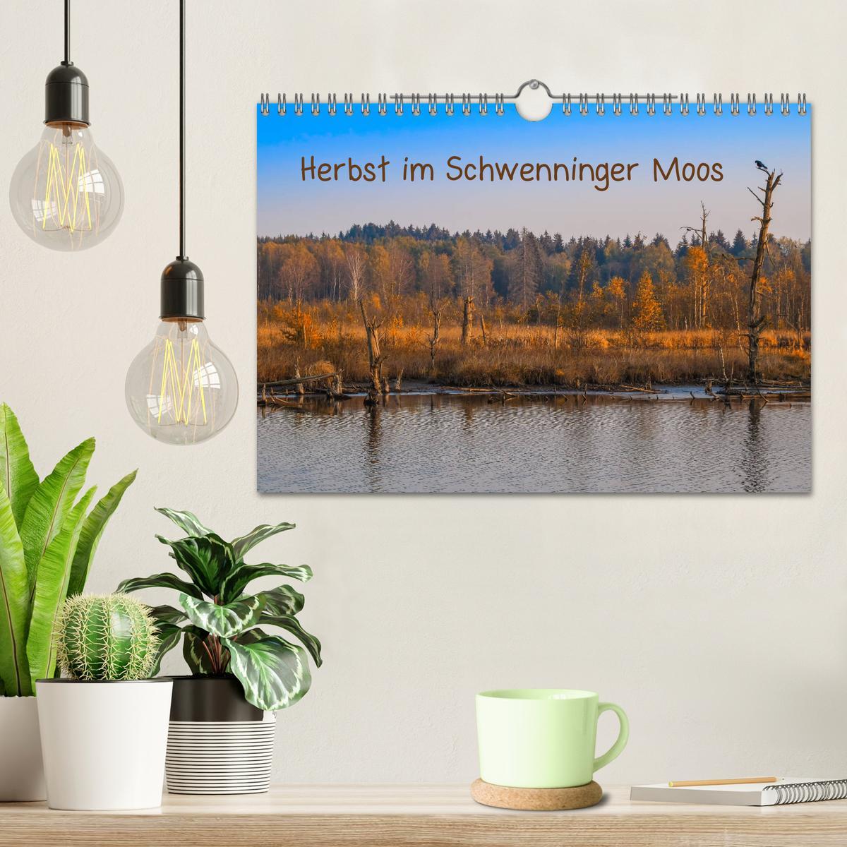 Bild: 9783435228119 | Herbst im Schwenninger Moos (Wandkalender 2025 DIN A4 quer),...