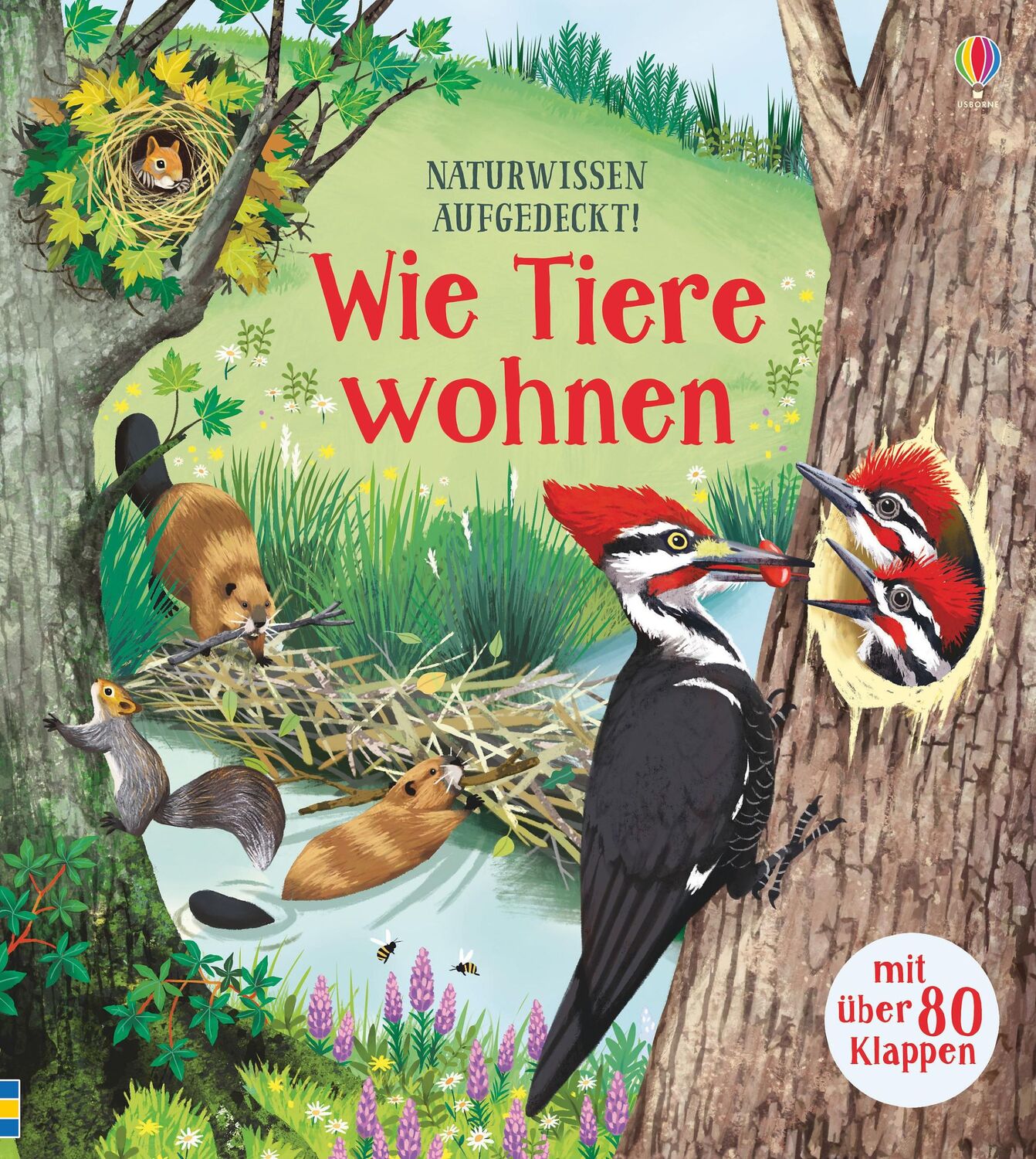 Cover: 9781789411409 | Naturwissen aufgedeckt! Wie Tiere wohnen | Emily Bone | Buch | 14 S.