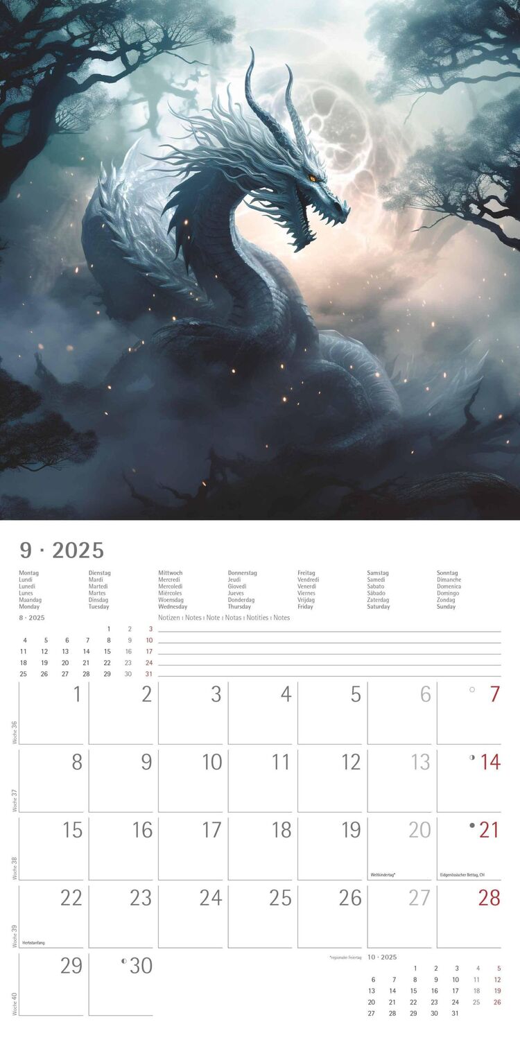 Bild: 4251732344320 | Drachen 2025 - Broschürenkalender 30x30 cm (30x60 geöffnet) -...