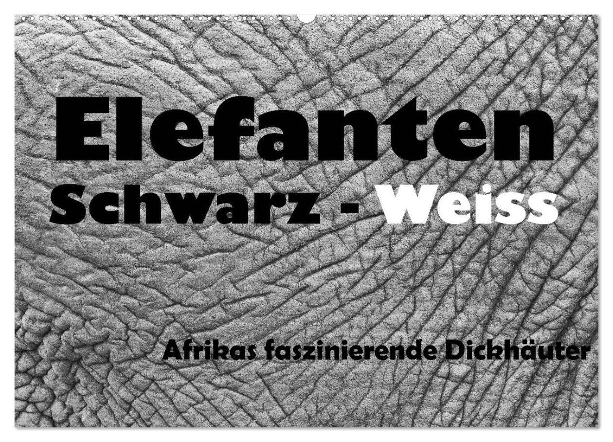 Cover: 9783435732999 | Elefanten Schwarz - Weiss (Wandkalender 2025 DIN A2 quer), CALVENDO...