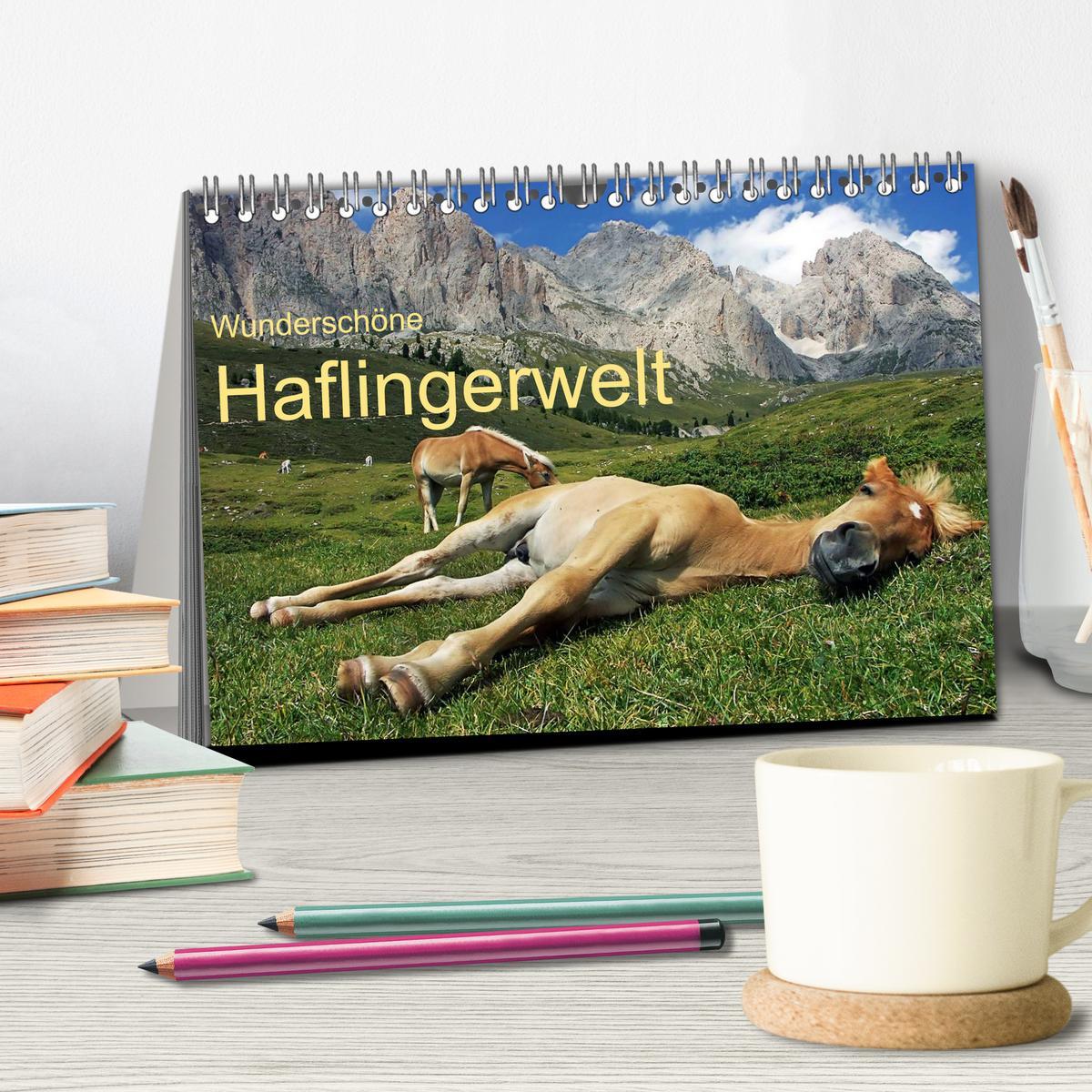 Bild: 9783435555376 | Wunderschöne Haflingerwelt (Tischkalender 2025 DIN A5 quer),...