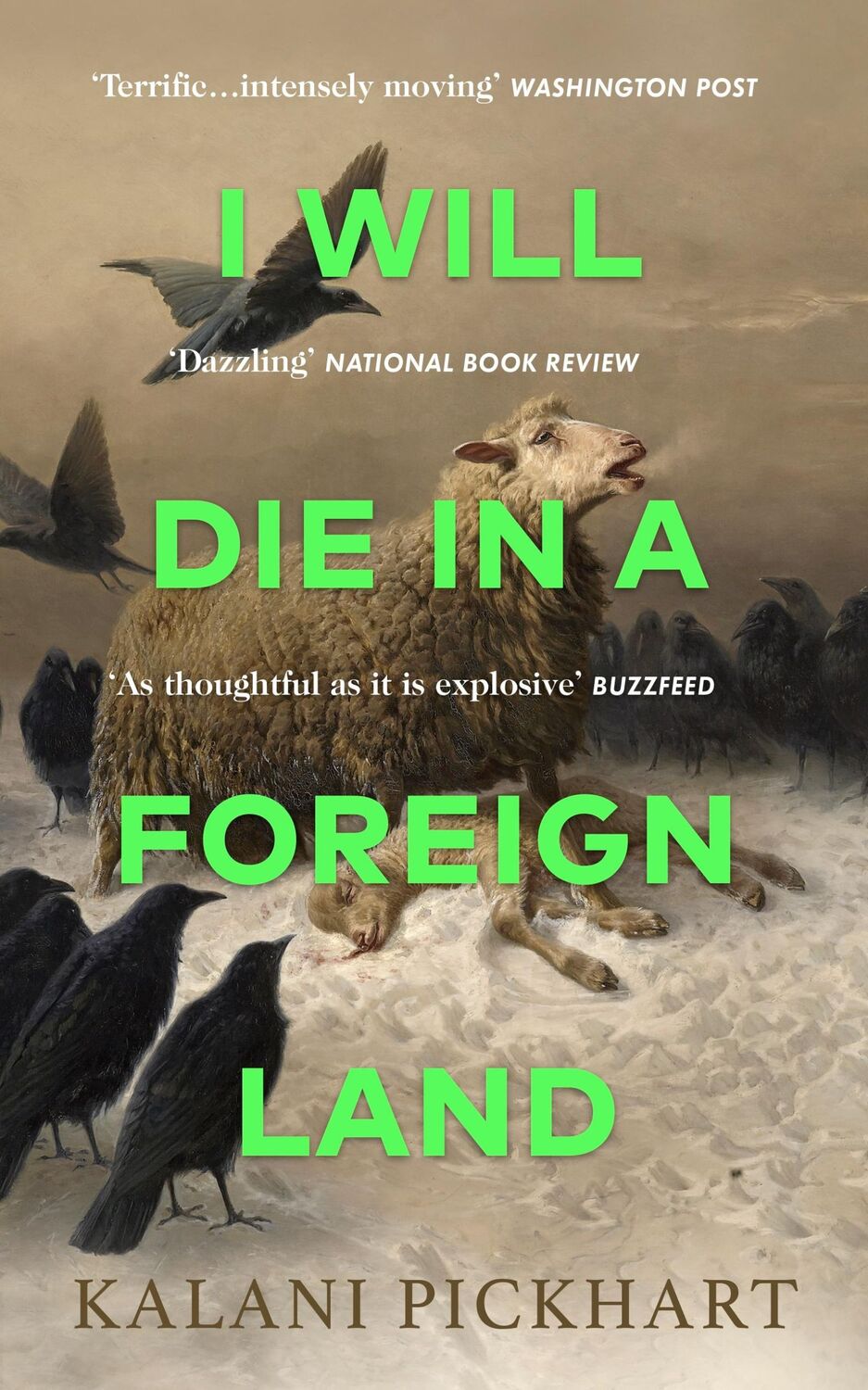 Cover: 9780857529305 | I Will Die in a Foreign Land | Kalani Pickhart | Buch | Gebunden