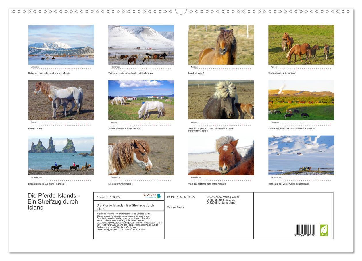 Bild: 9783435613274 | Die Pferde Islands - Ein Streifzug durch Island (Wandkalender 2025...