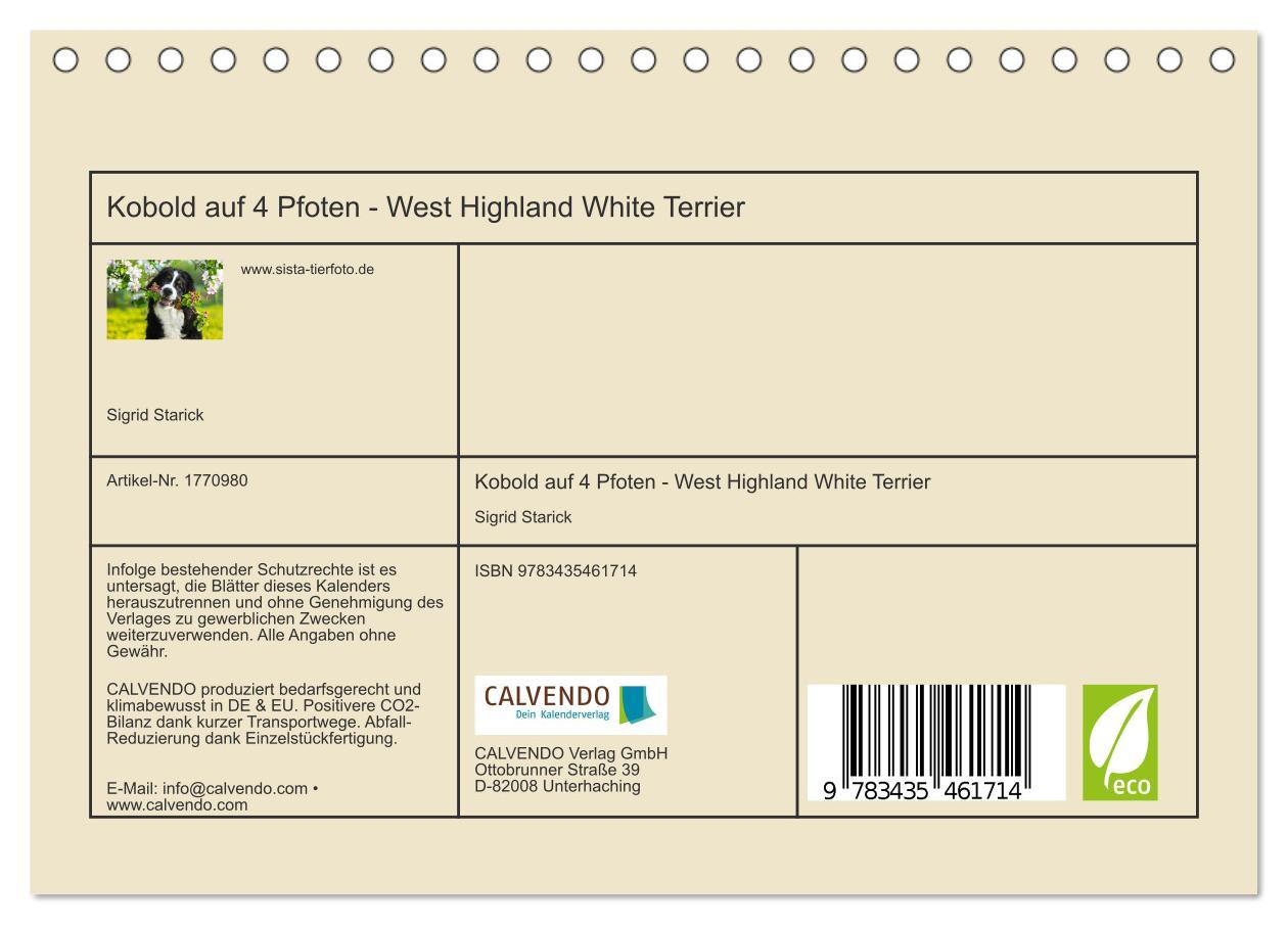 Bild: 9783435461714 | Kobold auf 4 Pfoten - West Highland White Terrier (Tischkalender...