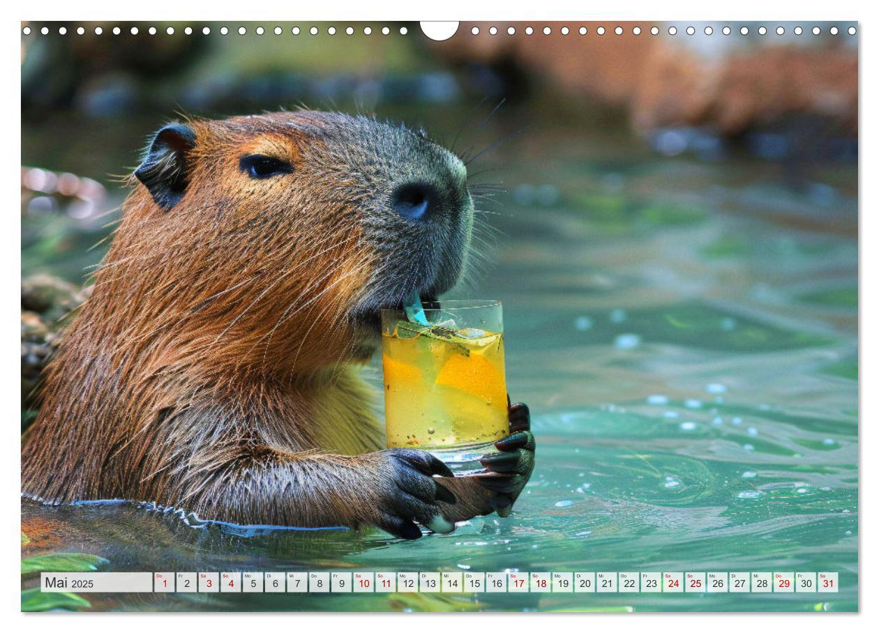 Bild: 9783457163955 | Capybaras im Alltag - Ein Jahr voller Abenteuer (Wandkalender 2025...