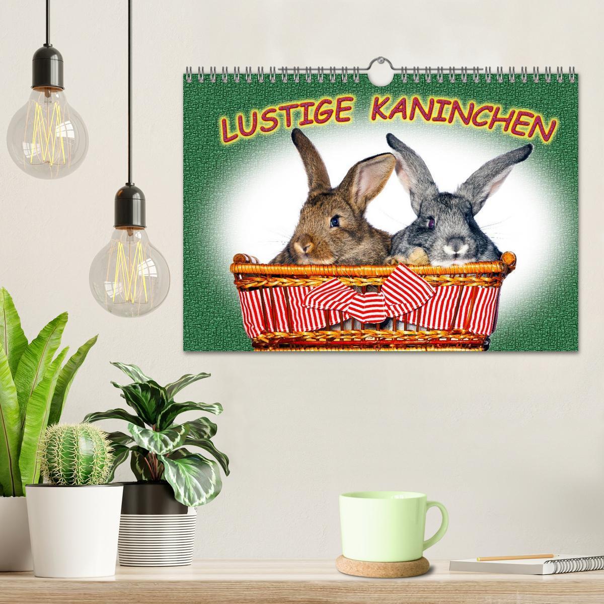 Bild: 9783435761371 | Lustige Kaninchen (Wandkalender 2025 DIN A4 quer), CALVENDO...