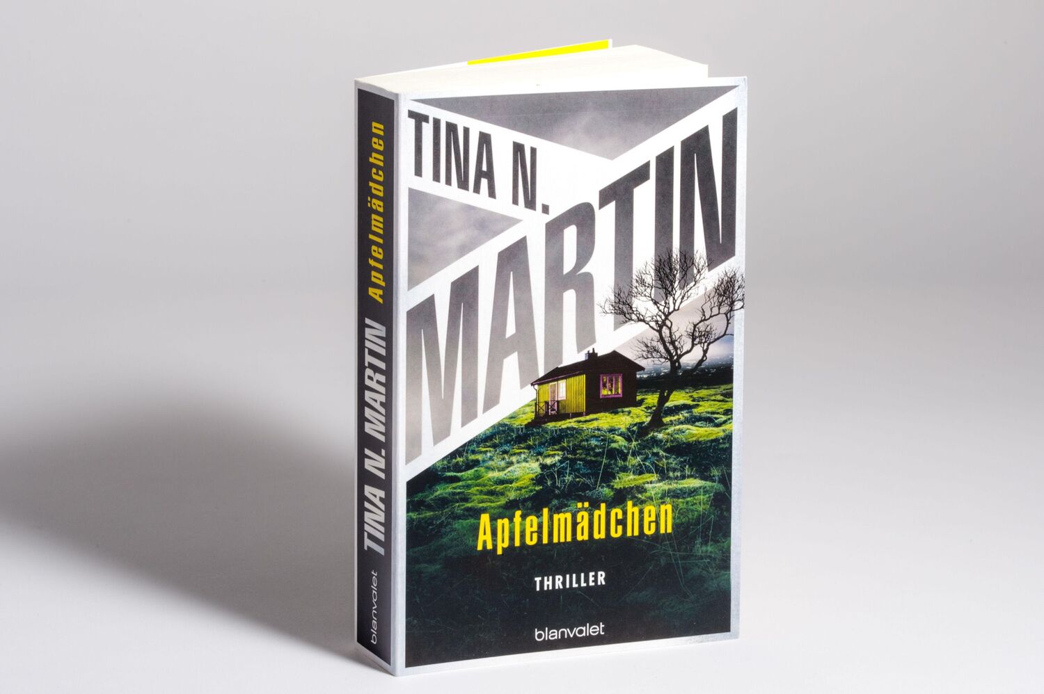 Bild: 9783734111655 | Apfelmädchen | Tina N. Martin | Taschenbuch | 512 S. | Deutsch | 2023