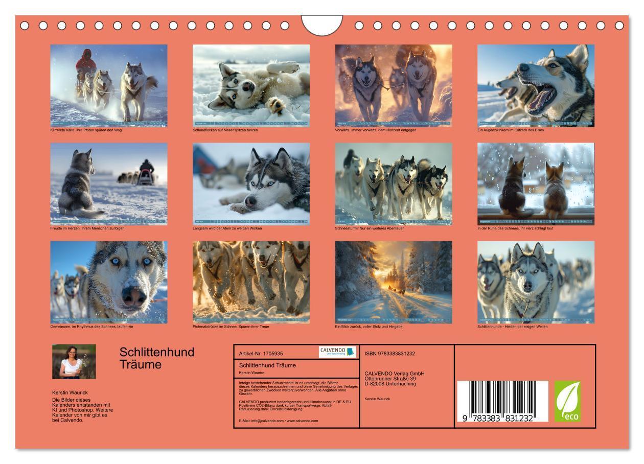 Bild: 9783383831232 | Schlittenhund Träume (Wandkalender 2025 DIN A4 quer), CALVENDO...