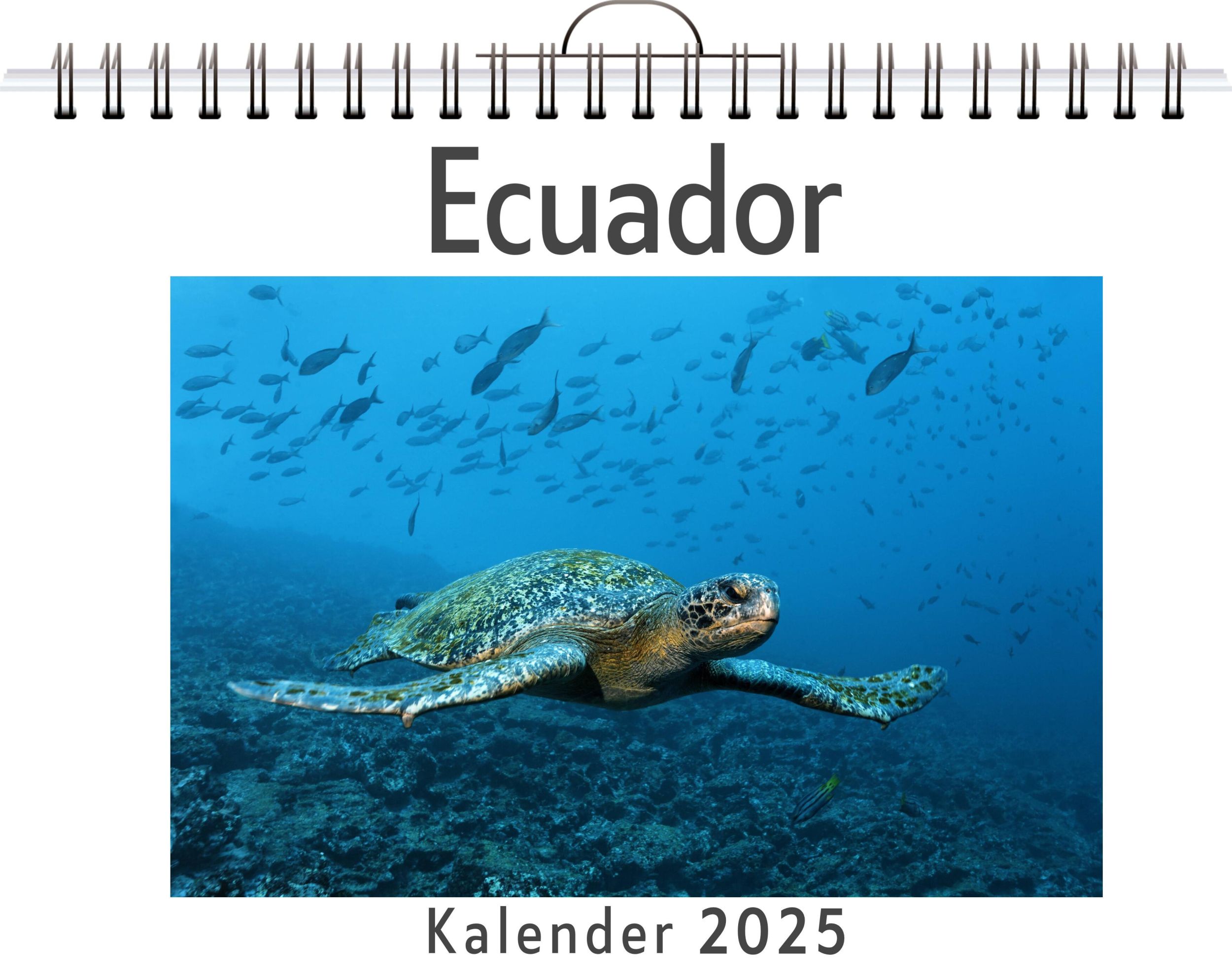 Cover: 9783759125422 | Ecuador | David Schwarz | Kalender | Kalender | 14 S. | Deutsch