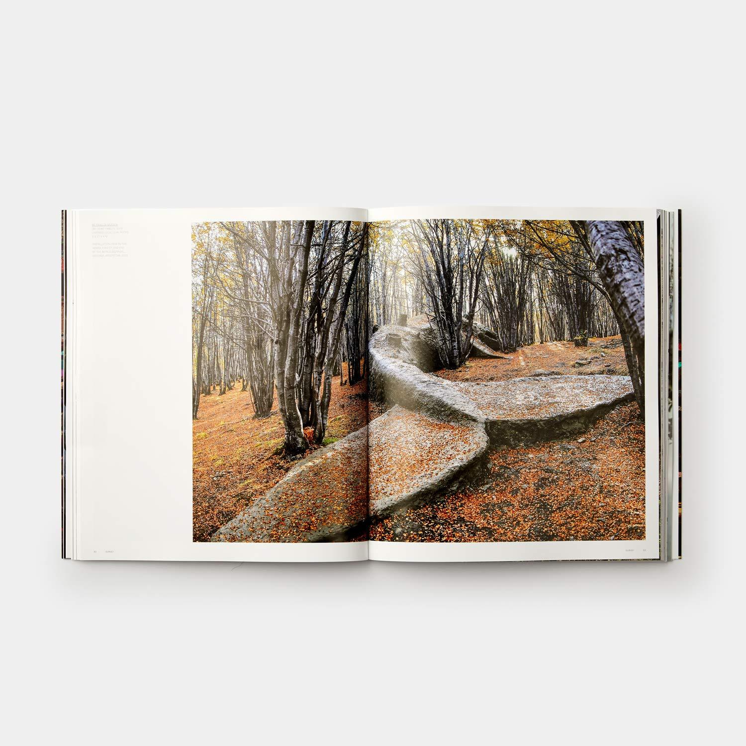 Bild: 9780714875019 | Adrián Villar Rojas | Hans Ulrich Obrist (u. a.) | Taschenbuch | 2020