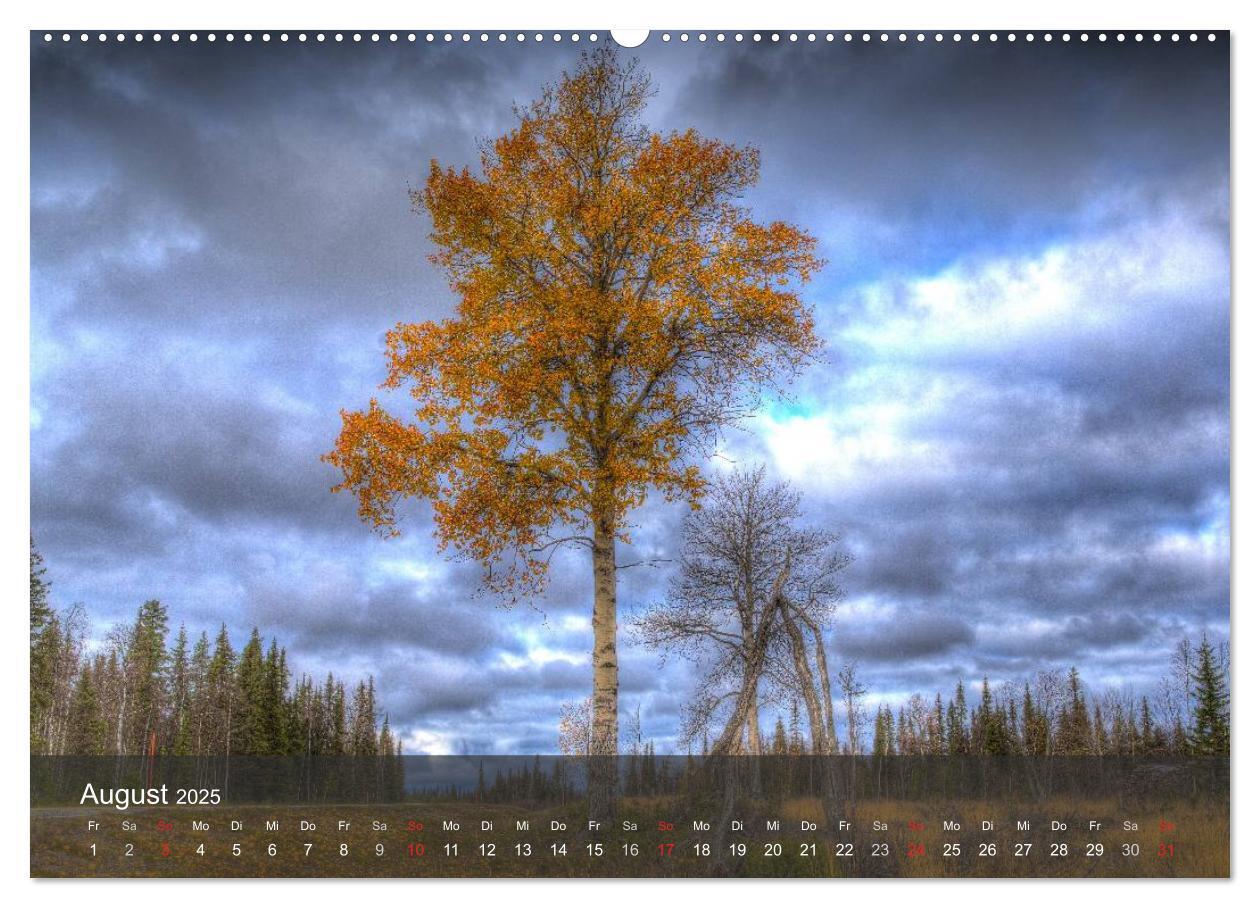 Bild: 9783435776863 | Lappland 2025 (Wandkalender 2025 DIN A2 quer), CALVENDO Monatskalender