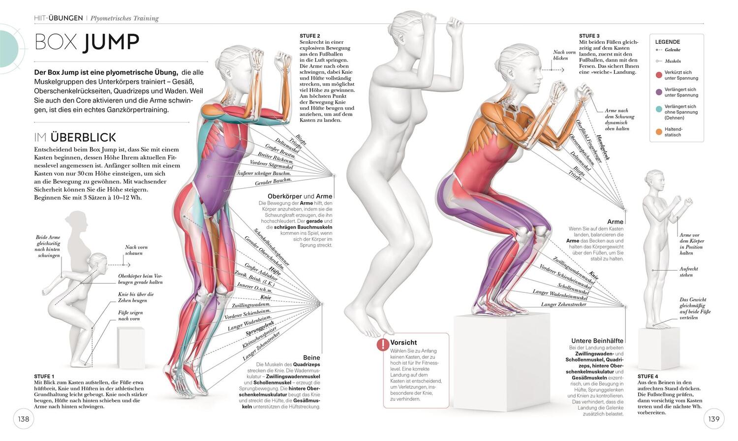 Bild: 9783831045303 | HIIT - Die Anatomie verstehen | Ingrid S. Clay | Taschenbuch | 224 S.