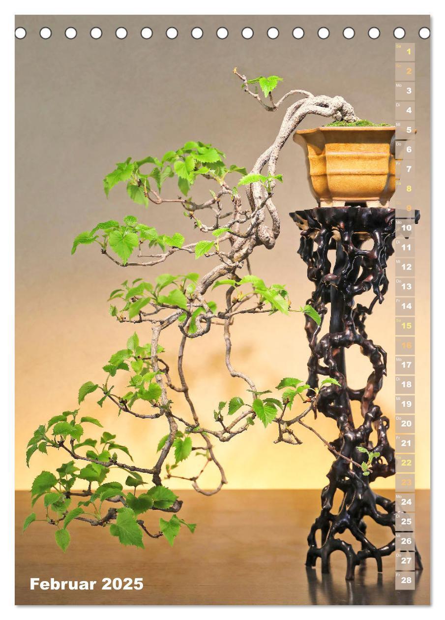 Bild: 9783435852345 | Bonsai: Gartenkunst im Kleinen (Tischkalender 2025 DIN A5 hoch),...