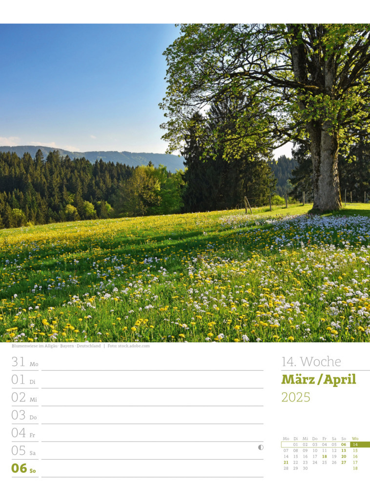 Bild: 9783838425979 | Unser Wald - Wochenplaner Kalender 2025 | Ackermann Kunstverlag | 2025