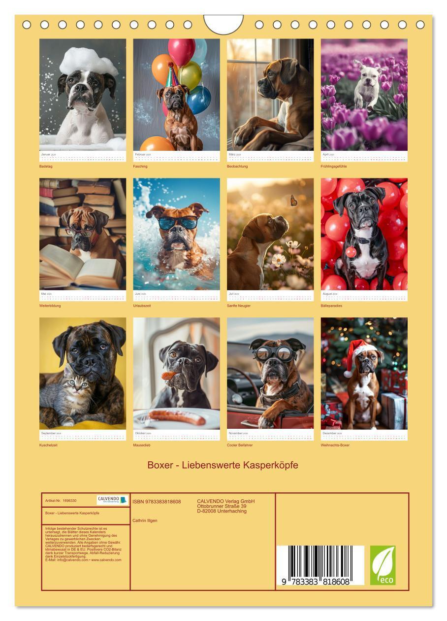 Bild: 9783383818608 | Boxer - Liebenswerte Kasperköpfe (Wandkalender 2025 DIN A4 hoch),...