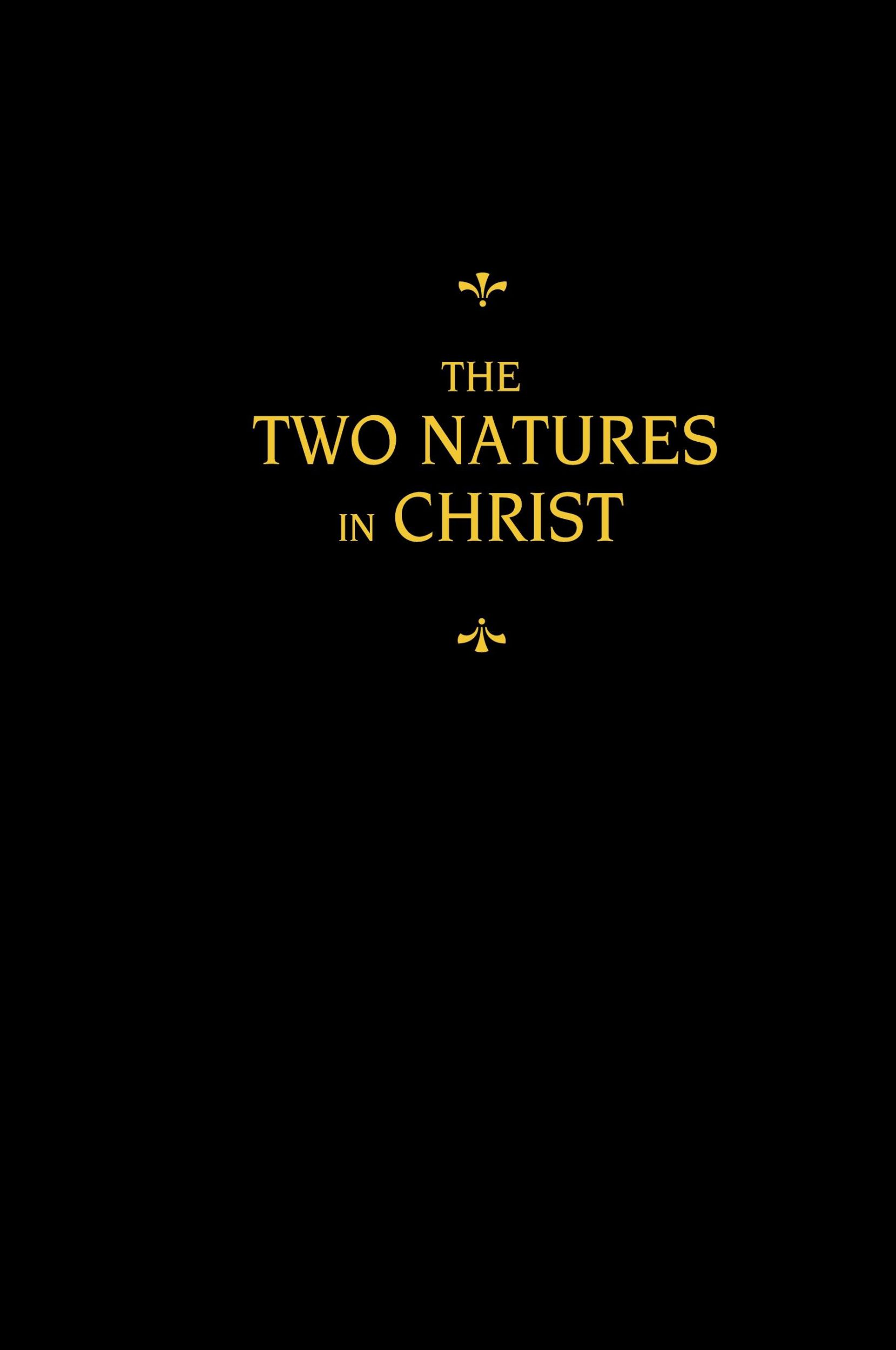 Cover: 9780758675996 | Chemnitz's Works, Volume 6 (The Two Natures in Christ) | Chemnitz