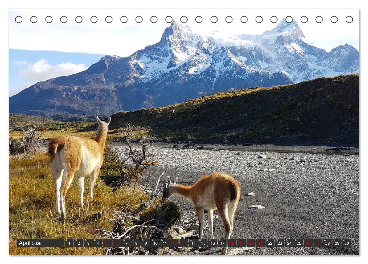 Bild: 9783435404018 | Patagonien - Parques Torres del Paine und Los Glaciares...