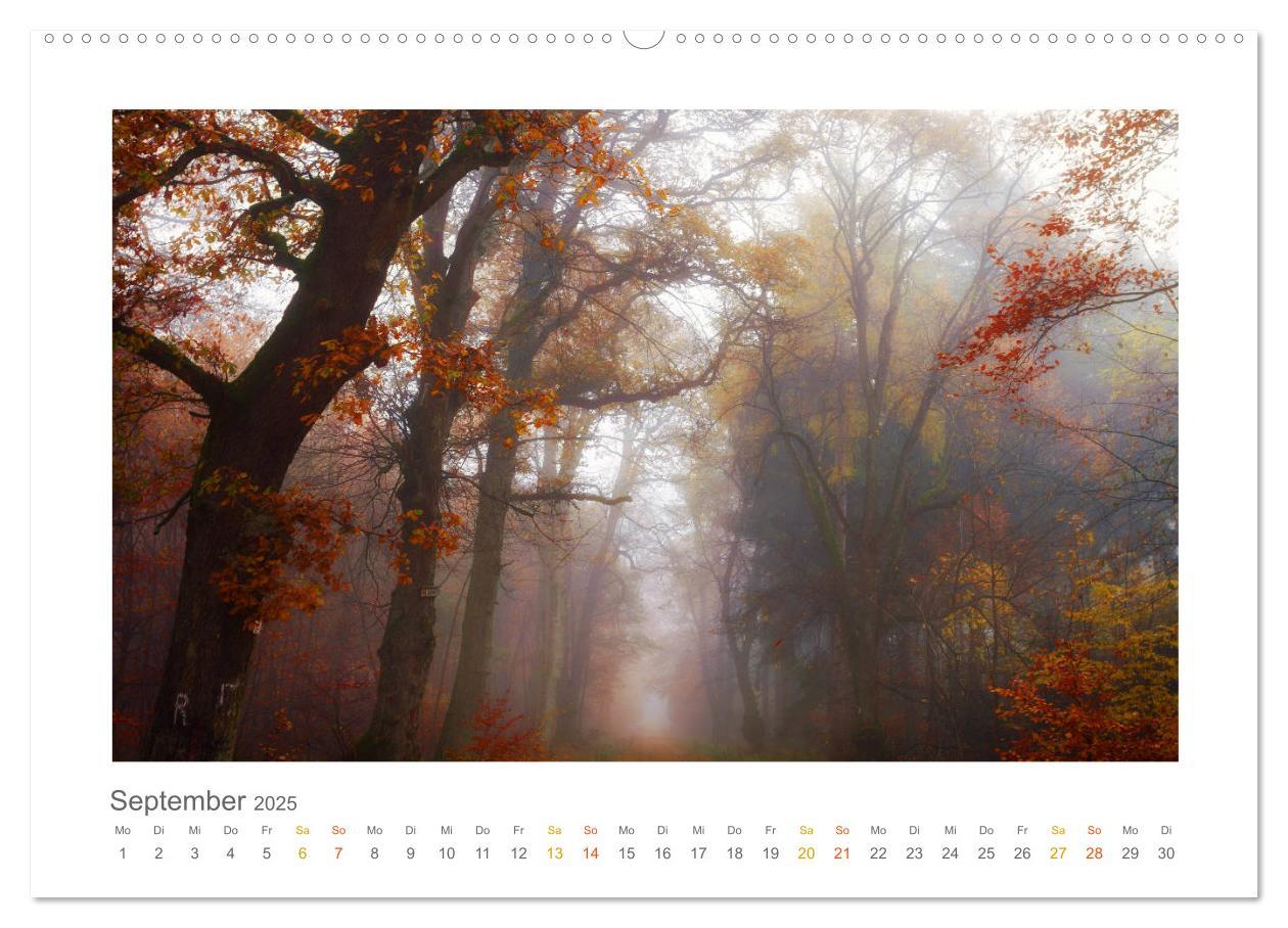 Bild: 9783435411092 | Im Märchenwald des Untertaunus (hochwertiger Premium Wandkalender...