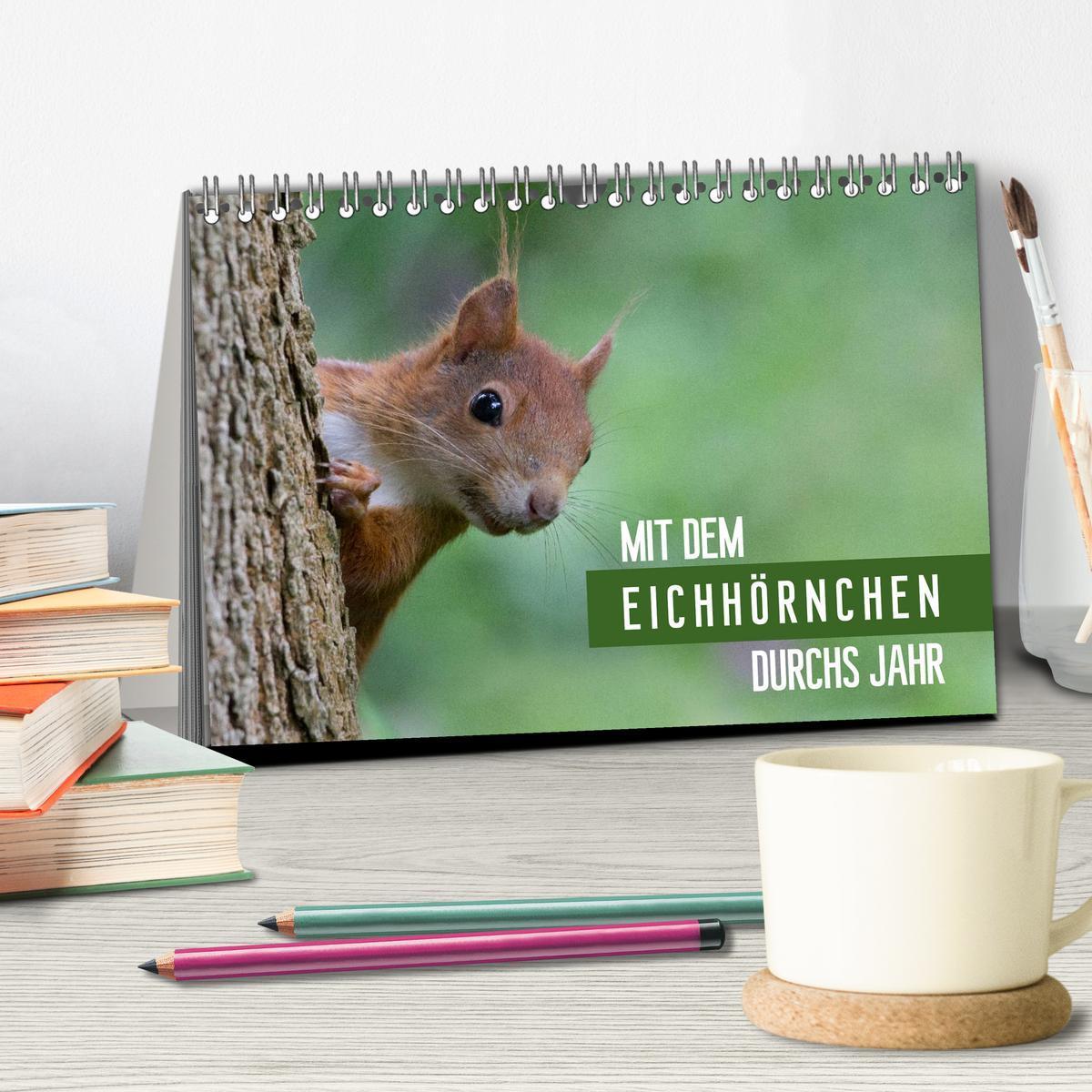 Bild: 9783435669271 | Mit dem Eichhörnchen durchs Jahr (Tischkalender 2025 DIN A5 quer),...