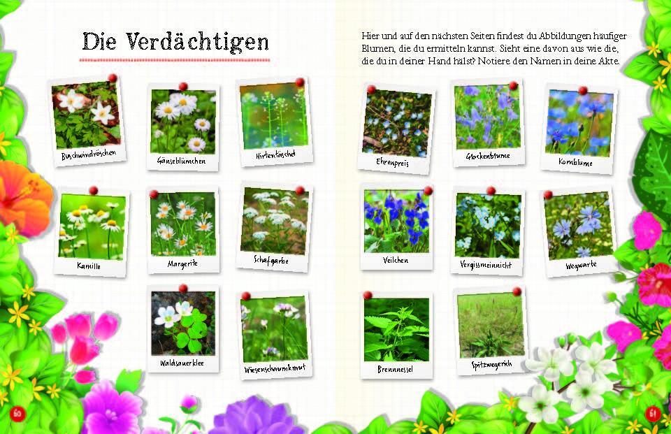 Bild: 9783968080093 | Flora &amp; Leo. Mein erstes Herbarium | Christine Schreier | Taschenbuch