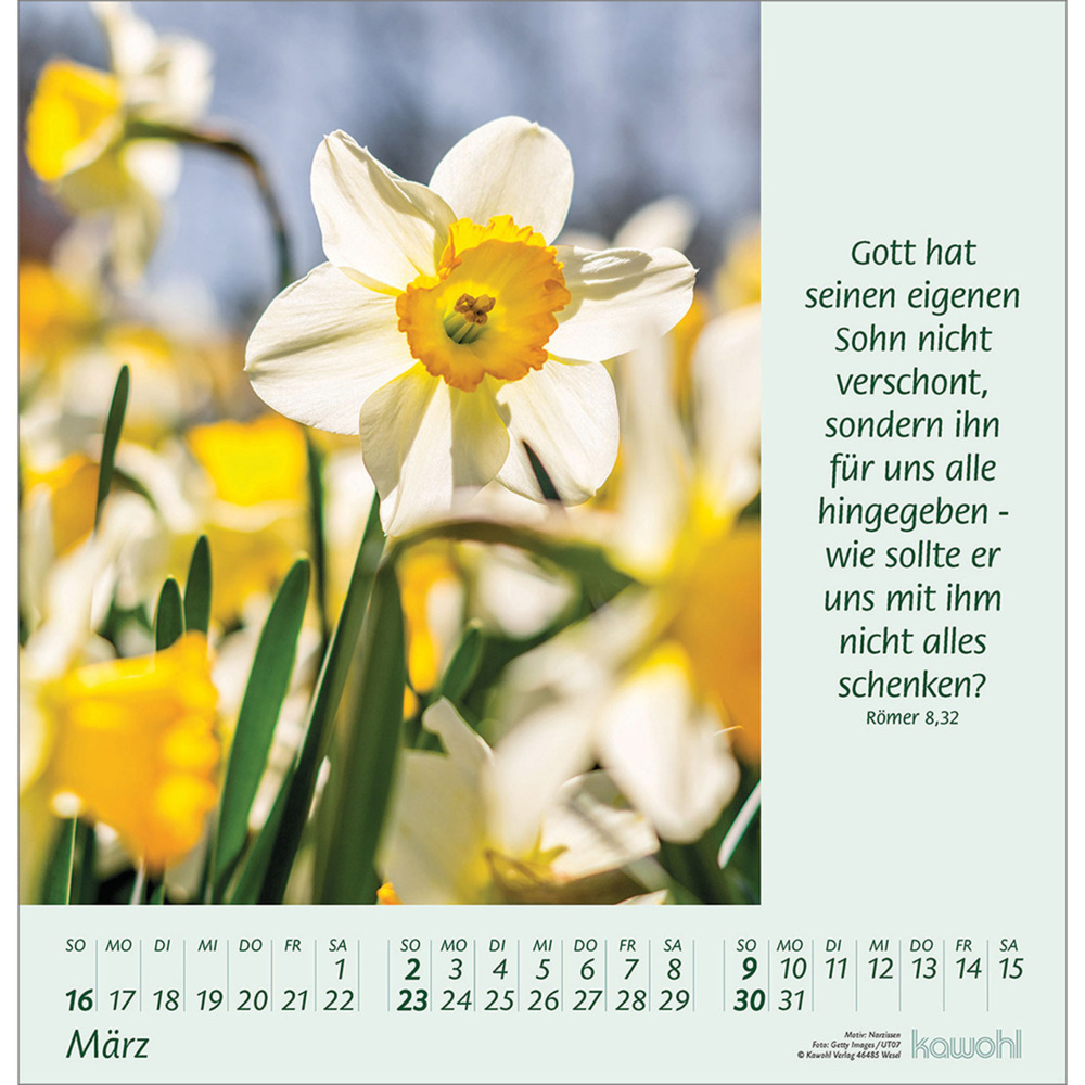 Bild: 9783754826058 | Blumengrüße 2025 | Kalender mit Bibelworten und Blumenbildern | 14 S.