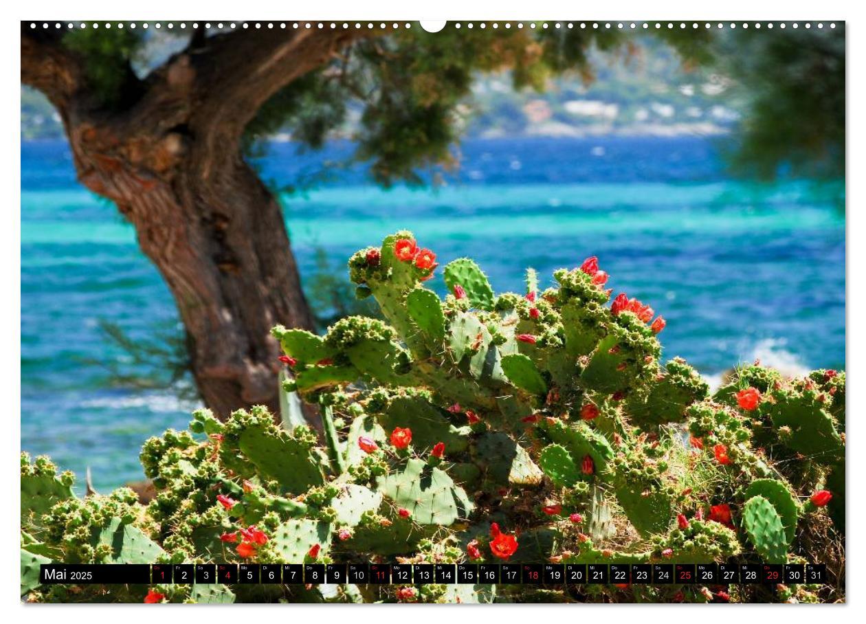 Bild: 9783435827510 | MALLORCA zum VERLIEBEN (hochwertiger Premium Wandkalender 2025 DIN...