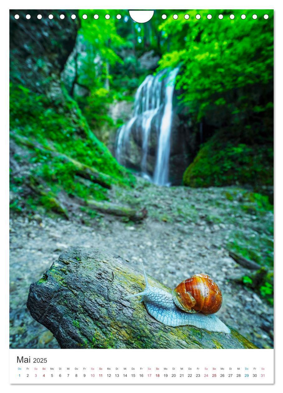 Bild: 9783435901449 | Allgäuer Wasserfälle (Wandkalender 2025 DIN A4 hoch), CALVENDO...