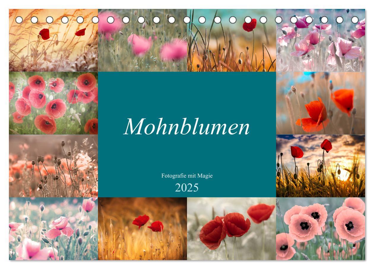 Cover: 9783435286867 | Mohnblumen - Fotografie mit Magie (Tischkalender 2025 DIN A5 quer),...