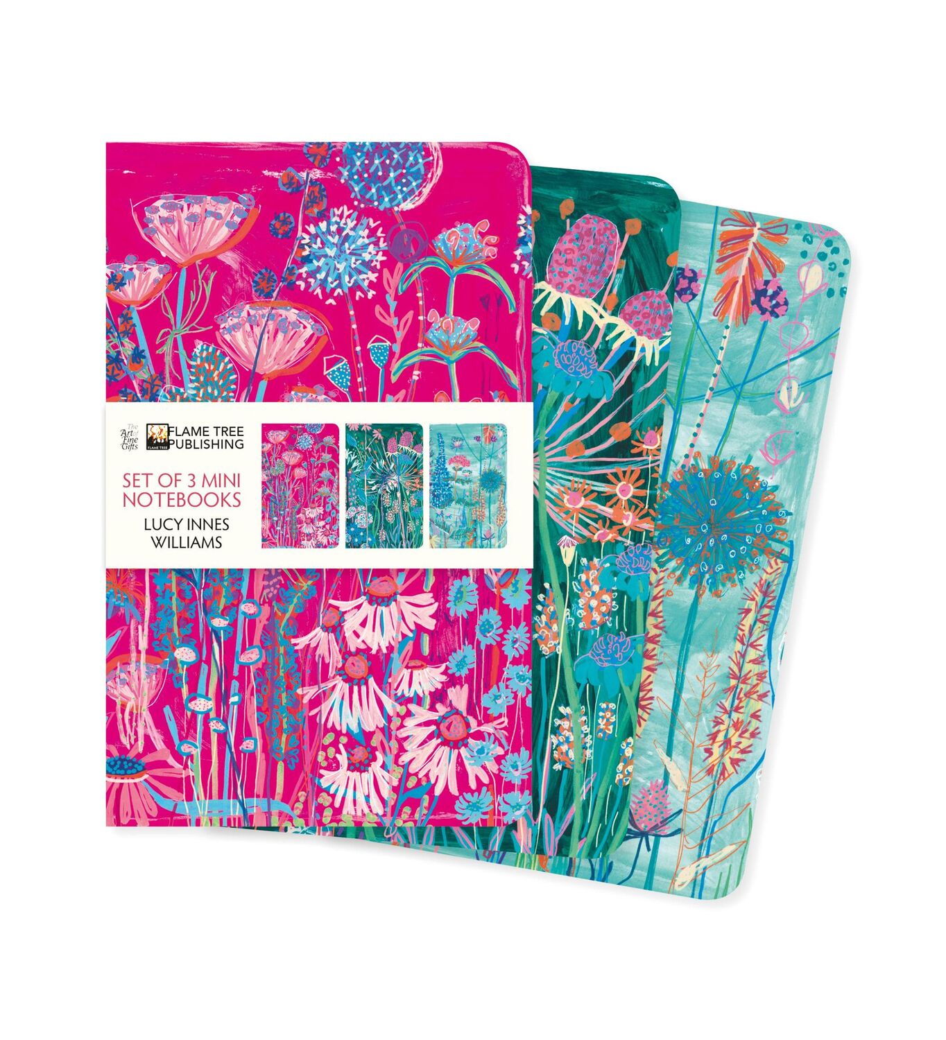 Cover: 9781804176436 | Lucy Innes Williams Set of 3 Mini Notebooks | Flame Tree Publishing