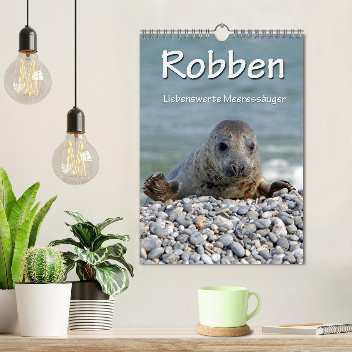 Bild: 9783457085769 | Robben (Wandkalender 2025 DIN A4 hoch), CALVENDO Monatskalender | Berg