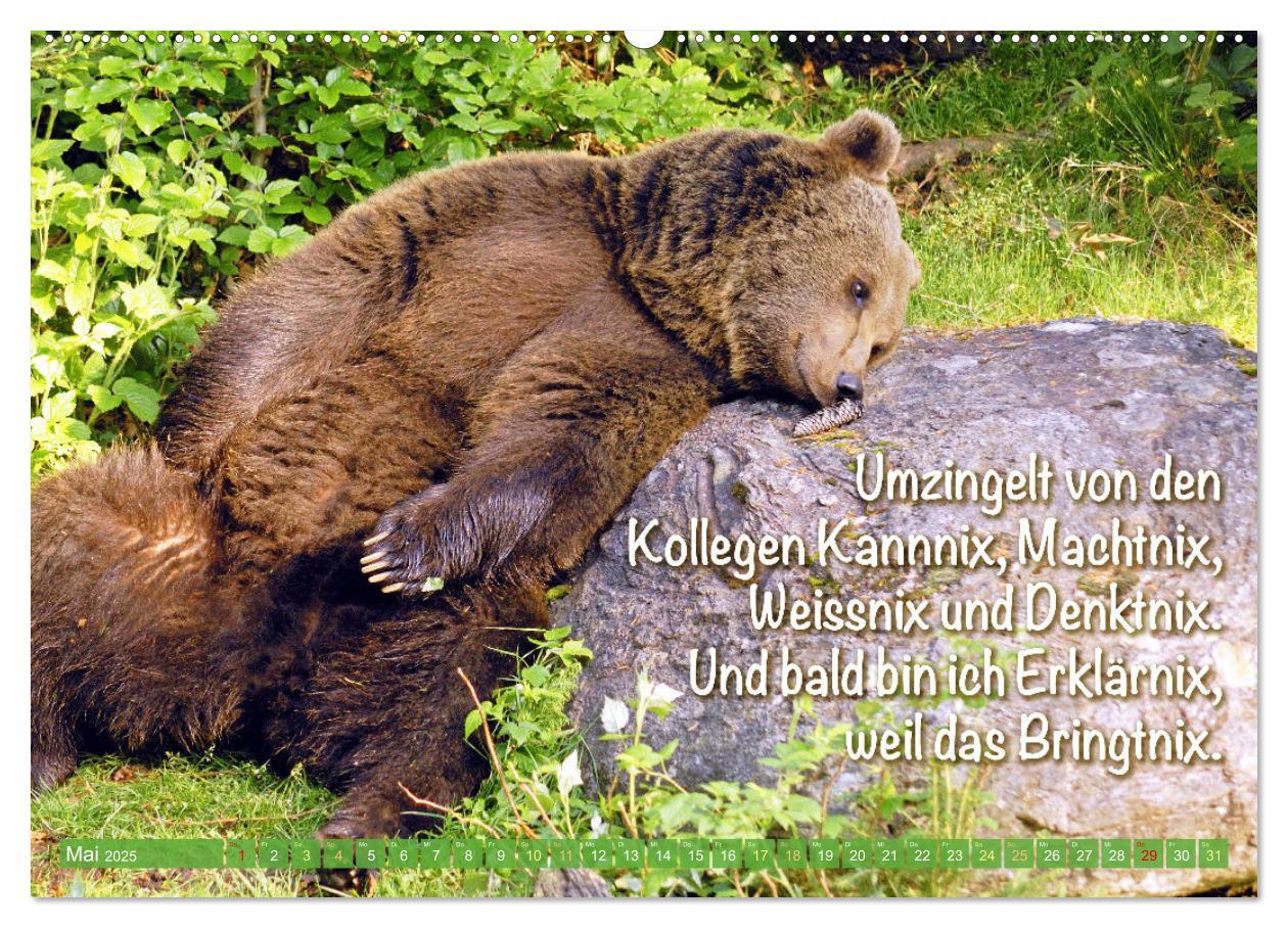 Bild: 9783383881398 | Spaß mit Bären: Edition lustige Tiere (Wandkalender 2025 DIN A2...