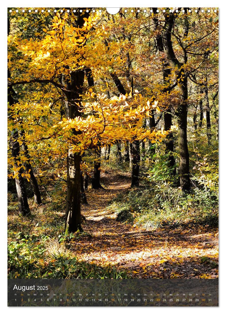 Bild: 9783457239612 | Eifel Traumpfad Höhlen- und Schluchtenstieg (Wandkalender 2025 DIN...