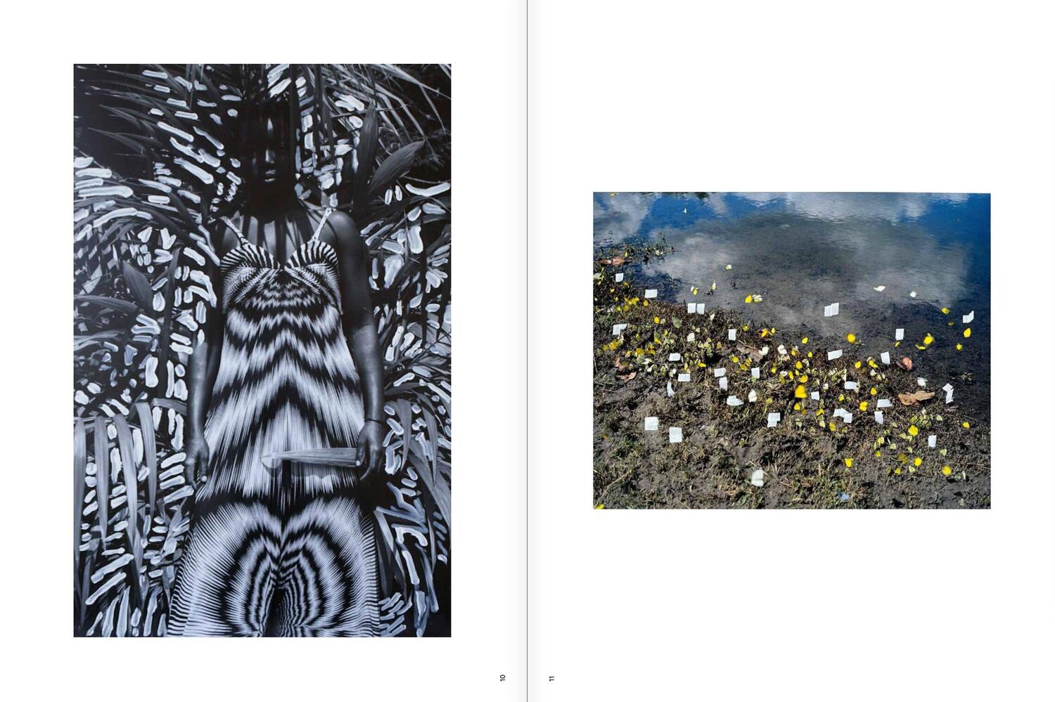 Bild: 9783791389783 | Viviane Sassen: Phosphor | Dawn Ades (u. a.) | Buch | 528 S. | 2023