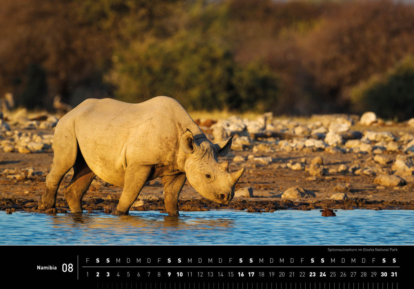 Bild: 9783968555201 | 360° Namibia Premiumkalender 2025 | Thomas Dreßler | Kalender | 13 S.