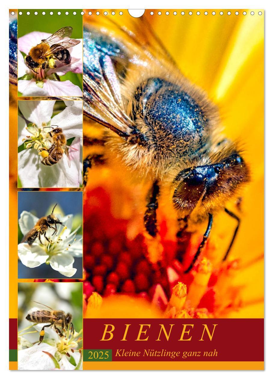 Cover: 9783435966448 | BIENEN - Kleine Nützlinge ganz nah (Wandkalender 2025 DIN A3 hoch),...