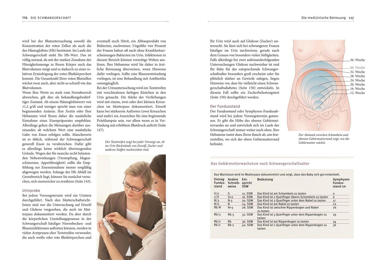 Bild: 9783833814082 | Hebammen-Gesundheitswissen | Silvia Höfer (u. a.) | Taschenbuch | 2012