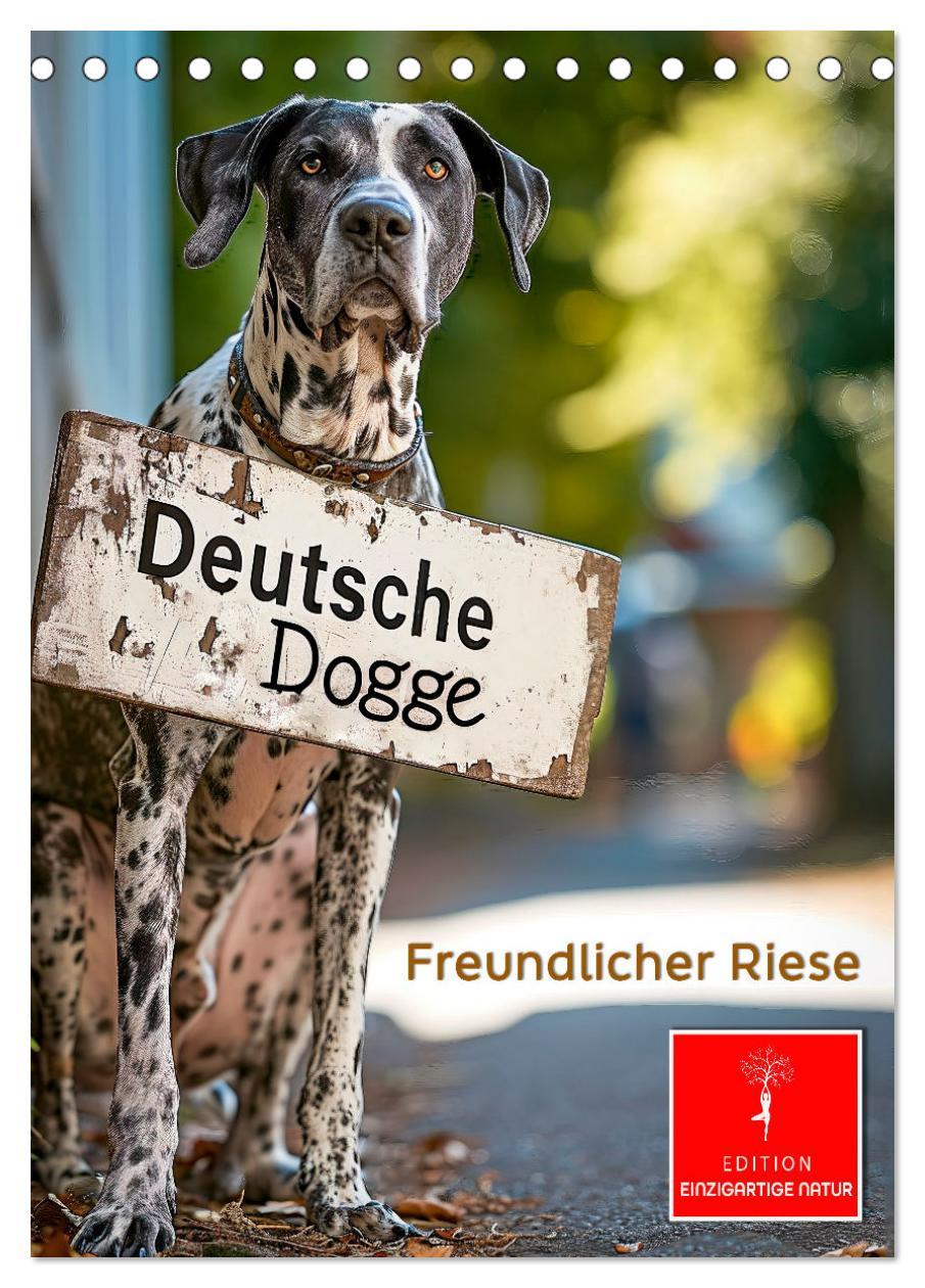 Cover: 9783383766589 | Deutsche Dogge - freundlicher Riese (Tischkalender 2025 DIN A5...