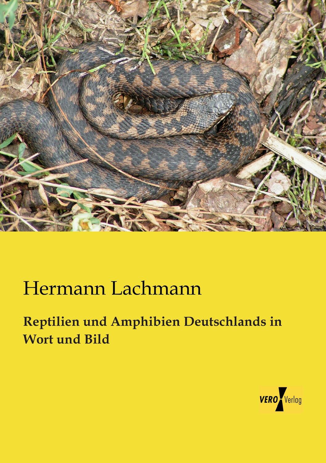 Cover: 9783956107733 | Reptilien und Amphibien Deutschlands in Wort und Bild | Lachmann