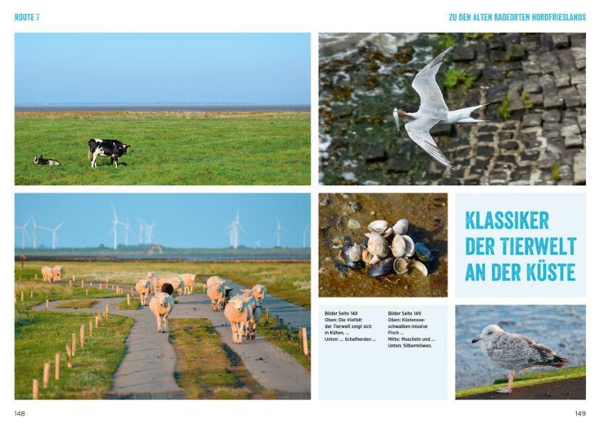 Bild: 9783734323072 | Nordseeküste mit dem Wohnmobil | Michael Moll | Taschenbuch | 216 S.