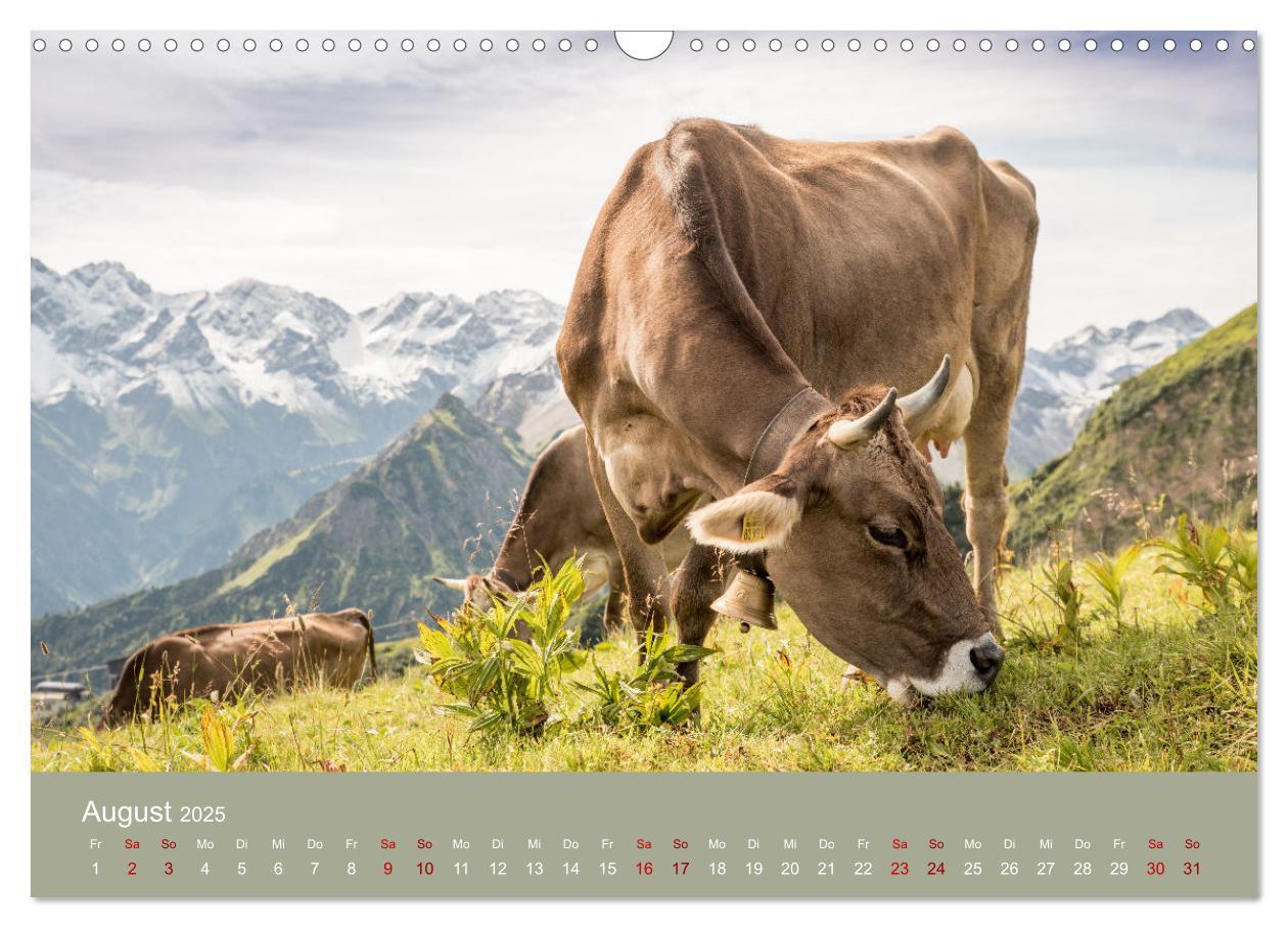 Bild: 9783383966590 | Heimweh Allgäu 2025 (Wandkalender 2025 DIN A3 quer), CALVENDO...