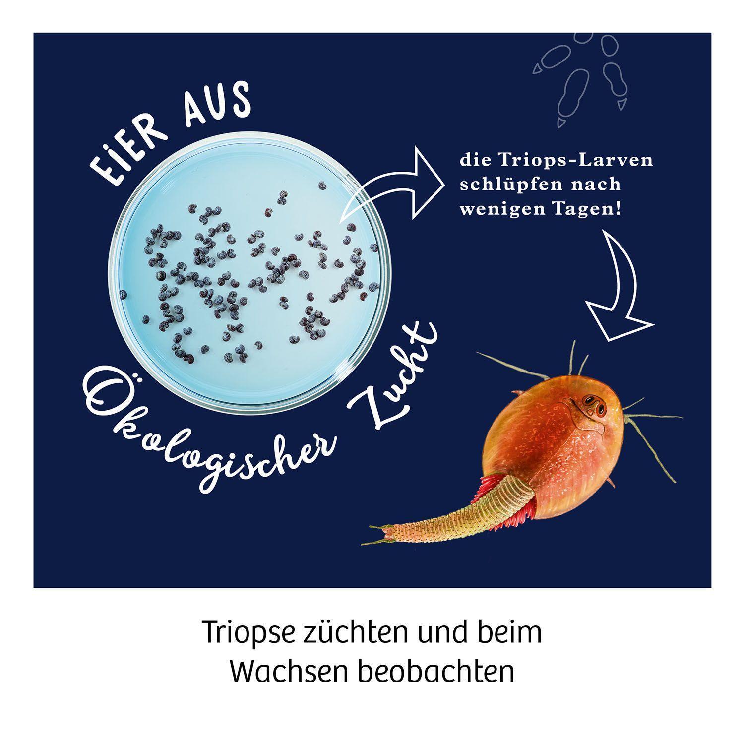 Bild: 4002051637231 | Fun Science Triops züchten | Experimentierkasten | Spiel | 637231