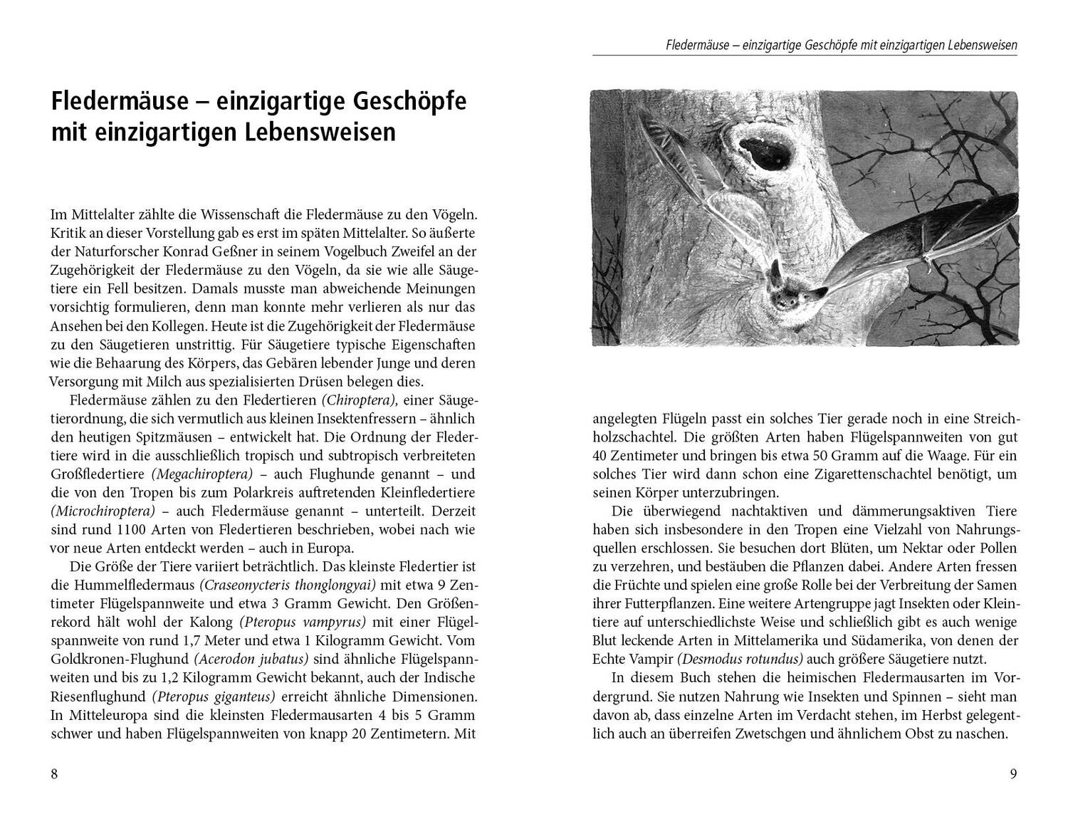 Bild: 9783895663116 | Ein Garten für Fledermäuse | Dirk A. Diehl | Buch | 162 S. | Deutsch