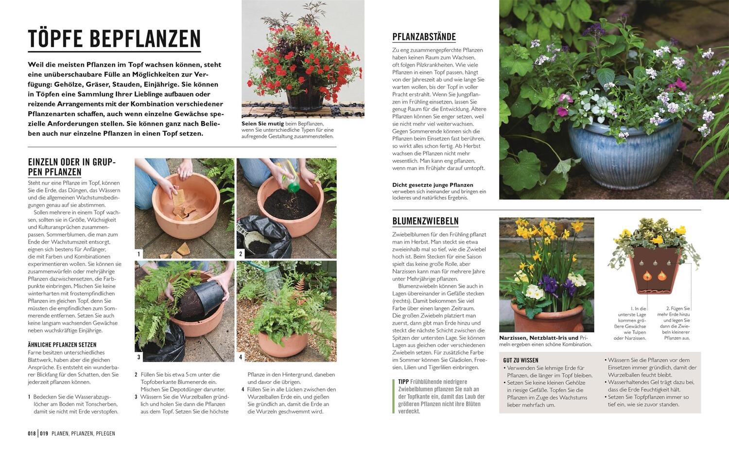 Bild: 9783831043934 | Grünes Gartenwissen. Pflanzen im Topf | Geoff Stebbings | Taschenbuch