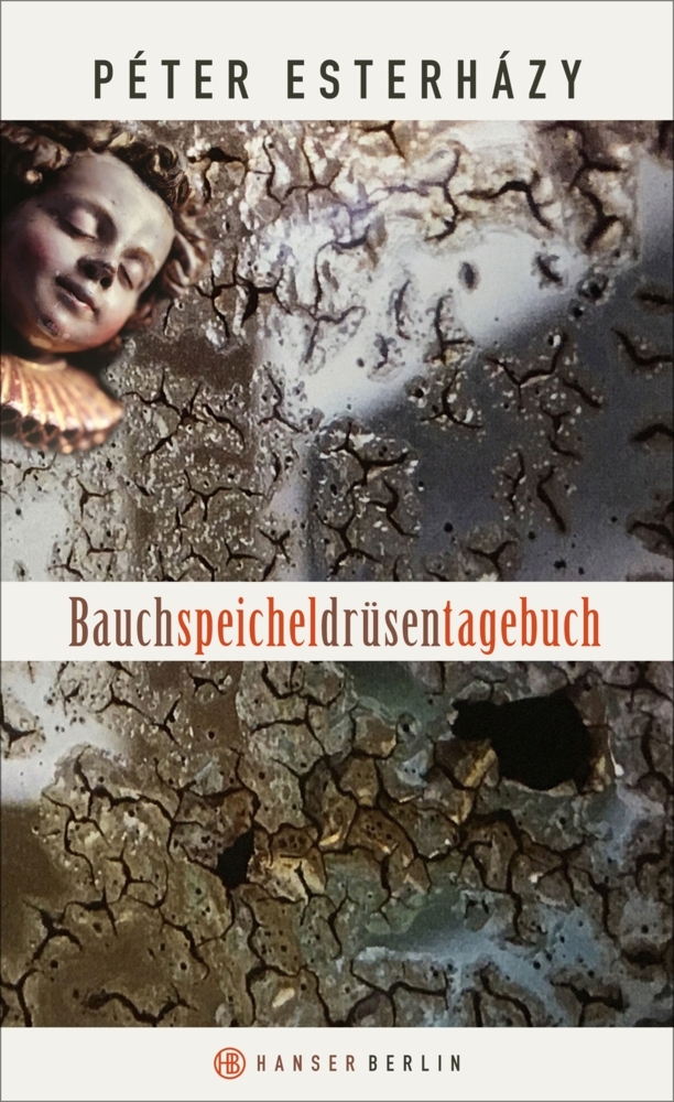 Cover: 9783446255449 | Bauchspeicheldrüsentagebuch | Péter Esterházy | Buch | 240 S. | 2017