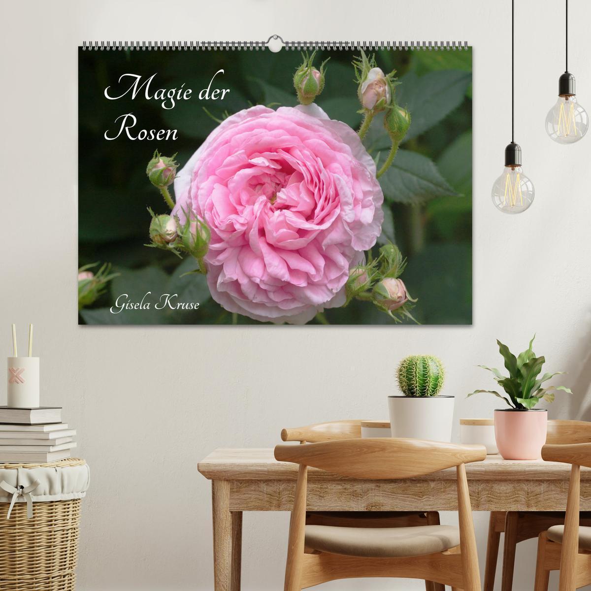 Bild: 9783435234356 | Magie der Rosen (Wandkalender 2025 DIN A2 quer), CALVENDO...