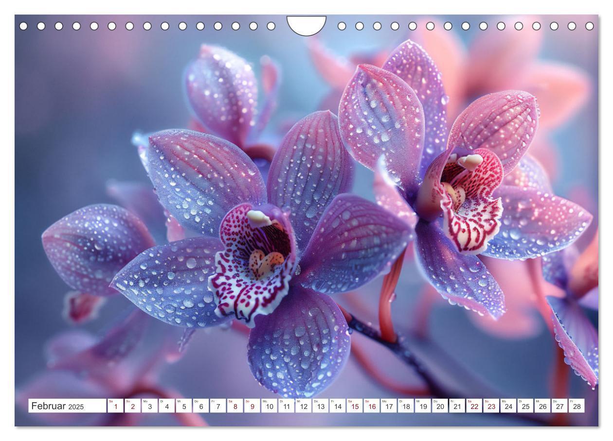 Bild: 9783457165089 | Orchideen - farbenfroh durchs Jahr (Wandkalender 2025 DIN A4 quer),...