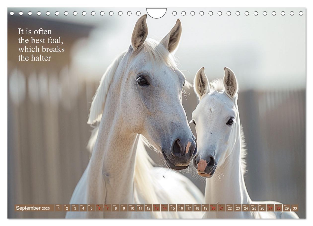 Bild: 9781325980727 | A Horse Makes You Complete (Wall Calendar 2025 DIN A4 landscape),...