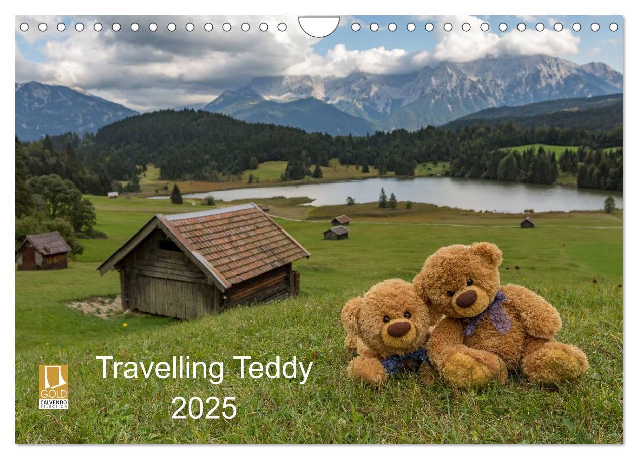 Cover: 9783435503414 | Travelling Teddy 2025 (Wandkalender 2025 DIN A4 quer), CALVENDO...