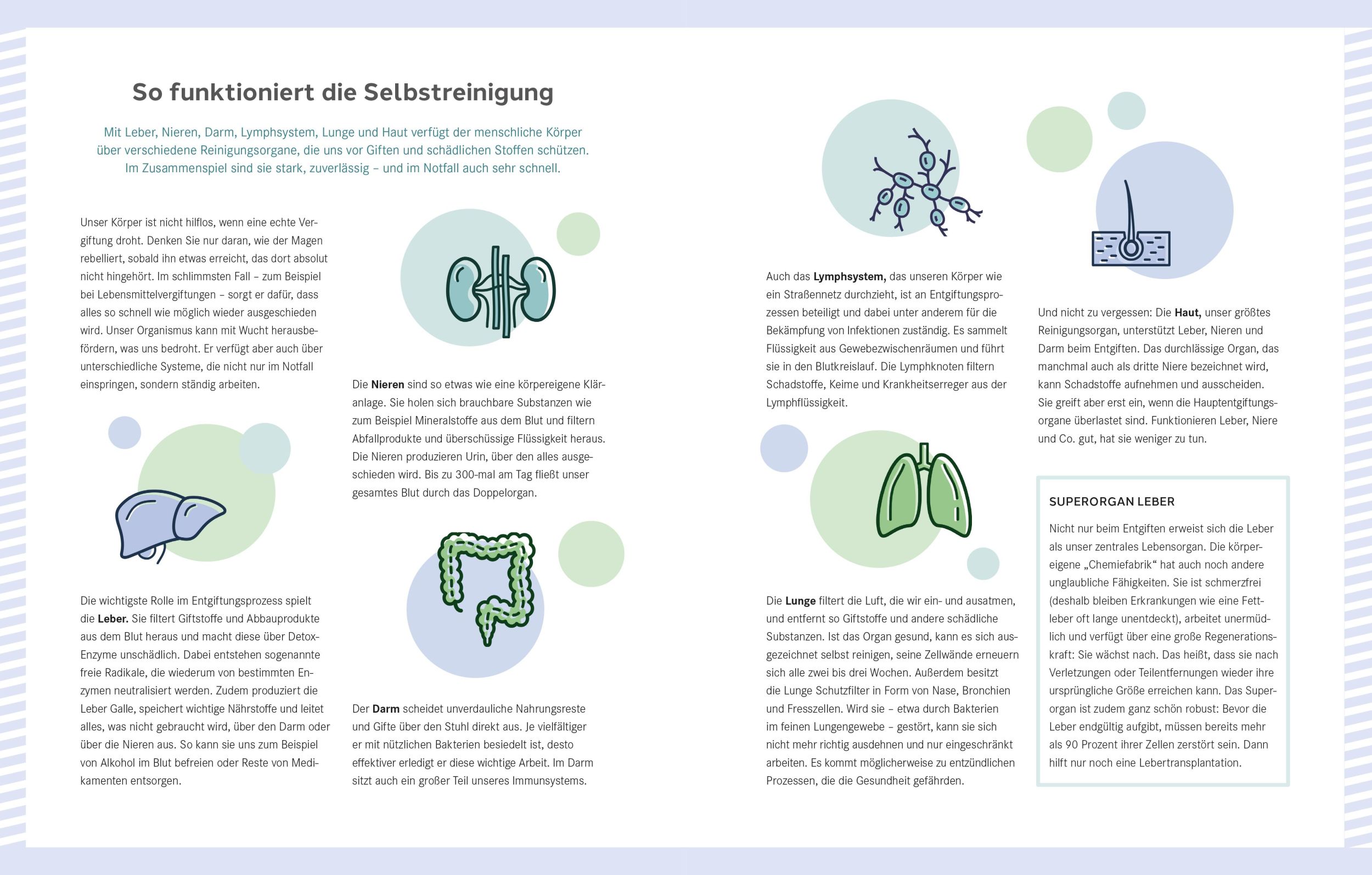 Bild: 9783965845022 | Die Ernährungs-Docs - Unsere Detox-Formel | Matthias Riedl (u. a.)